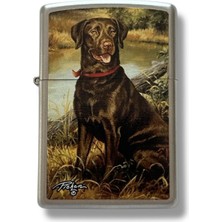 Zippo Dog 24781-000004 (2) Çakmak