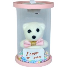 Casaba Hediyelik Cam Fanus Işıklı I Love You Ayıcık Pembe