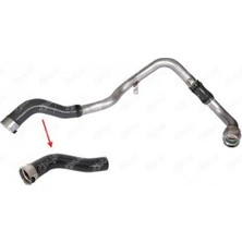 İbraş 11198 Turbo Hortumu 144608245R