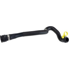 Rapro R19731 Radyator Hortumu 17127575453