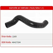 Master M2265 Radyator Hortumu Alt 46417194