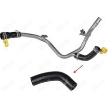 İbraş 11029 Radyator Hortumu 2104700QAE 210471593R A6082000052