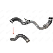 İbraş 12325 Turbo Hortumu 1446000Q2B 144603145R 4422245