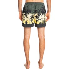 Quiksilver Erkek Volley Short Everyday Paradise Volley 15 Yeşil