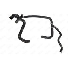 İbraş 19567 Radyator Hortumu Alt 1750620 CC118286BB CC118286BC