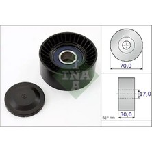 Ina 531087310 Alternator Gergi Bilyasi 94810240200 9A110221200