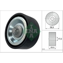 Ina 532066910 Alternator Gergi Bilyasi A2662020419