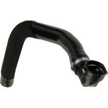 Rapro R11163 Radyator Hortumu Ust 51709485