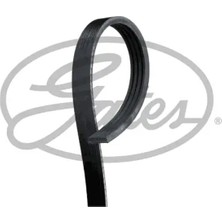 Gates ROADMAX813K4 Kayis