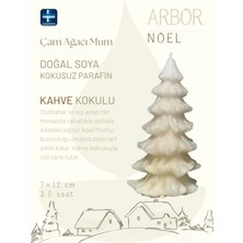 DASMAN Arbor Noel Doğal Soya Kahve Kokulu Çam Ağacı Mum