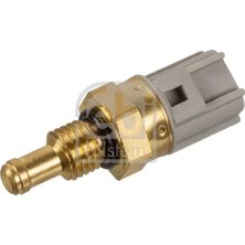 Febi 170480 Hararet Musiri 1047284 30658181 30777334