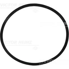 Victor Reinz 713447300 Emme Manifold Contasi A6110940080