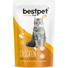Techmrt Bestpet 1 kg x 10 Adet  Yetişkin Kediler Için Tavuk Etli Kuru Mama