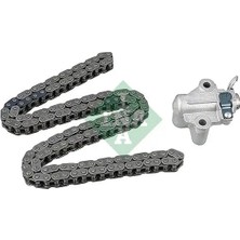 Ina 559100010 Eksantrik Zincir Takimi 1704066 1717599 BK2Q6K261AA