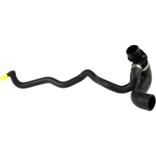 Rapro R19790 Devirdaim Hortumu 11537603513