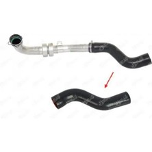 İbraş 11773 Turbo Hortumu 8200775694