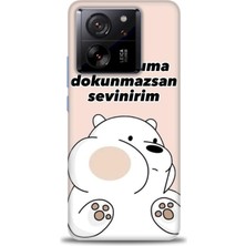 Xiaomi Mi 13T Pro Kılıf Hd Baskılı Kılıf + Seramik Tam Kaplayan Ekran Koruyucu 158