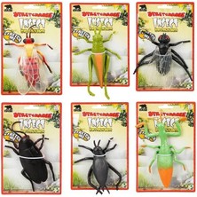 Amalfi Soft Esneyebilen Böcekler Kız Erkek Çocuk Oyuncak Eğitici Oyuncaklar