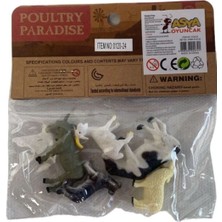 Amalfi Pvc Vahşi Hayvan Seti -Asy Kız Erkek Çocuk Oyuncak Eğitici Oyuncaklar