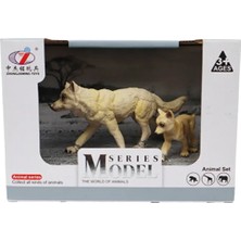 Amalfi Kutulu Model Kurt ve Yavrusu Kız Erkek Çocuk Oyuncak Eğitici Oyuncaklar