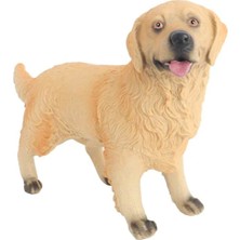 Amalfi Model Köpek Ten Rengi Golden Retriever Kız Erkek Çocuk Oyuncak Eğitici Oyuncaklar