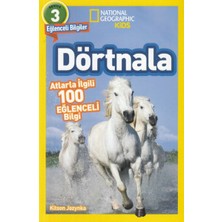 Beta Kids Dörtnala - Atlarla Ilgili 10 Eğlenceli Bilgi - 3 Seviye