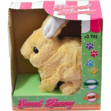 paraply 40098 Tavşan Peluş Pilli-Aya Toys Kız Erkek Çocuk Oyuncak Eğitici Oyuncaklar