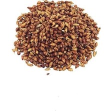 Aktar Depo Süpürge Otu Tohumu 500 gr
