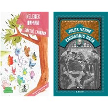 Doğan Kitap Değerler Serisi- Kelebek Ormanı  + Zacharius Usta