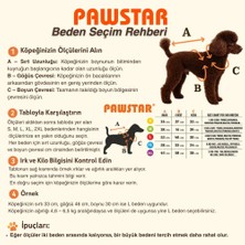 Pawstar Nice Citrus Narenciye Desenli  Köpek Mont Köpek Yağmurluk Köpek Kıyafeti Köpek Elbisesi