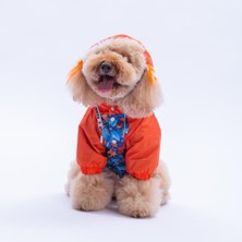 Pawstar Amsterdam Fall Turuncu Yaprak Desenli  Köpek Mont Köpek Yağmurluk Köpek Kıyafeti Köpek Elbisesi