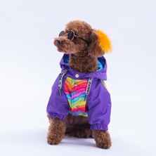 Pawstar Rio Rainbow Mor Gökkuşağı Desenli  Köpek Mont Köpek Yağmurluk Köpek Kıyafeti Köpek Elbisesi