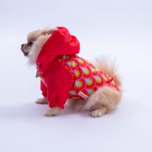 Pawstar Lisbon Sunset Kırmızı Gökkuşağı Desenli  Köpek Mont Köpek Yağmurluk Köpek Kıyafeti Köpek Elbisesi
