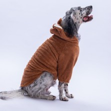 Pawstar Kahverengi LuccaTeddy Orta-Büyük Irk Köpek Pofuduk Hoodie Sweatshirt