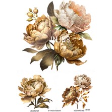 Lineart Janjan Serisi Jnjn8 Pastel, Çiçek Desenli 30*42 cm Pirinç Dekopaj