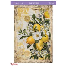 Lineart Lnt 363 Vintage Limon Desenli Açık Zemin Sulu Transfer 25*35 cm