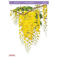 Lineart Lnt 364 Mimoza, Salkım Desenli Açık Zemin Sulu Transfer 25*35 cm