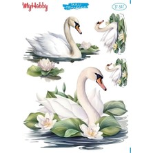 St 547 Beyaz Kuğu Desenli Sulu Transfer 25*35 cm