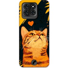 Gramaphone Reeder S71 Uyumlu Kedi Desenli Telefon Kılıfı + Ekran Koruyucu - 5783