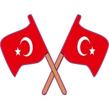 Çınarrium Pınaxar Bayrak Motor Özel ve Oto Sticker Kabartmalı 7,5X10 cm A+Kalite