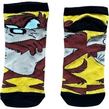 CNS Concept Tazmanya Canavarı Patik Çorap