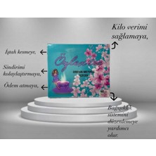 Özlex Tea Orman Meyveli Çay 60 Şase