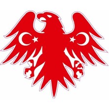 Çınarrium Pınaxar  Kartal Türk Bayrağı Motor Özel ve Oto Sticker Kabartmalı 7,5x9 cm A+Kalite