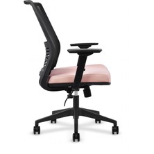 Léon Ofis Çalışma Sandalyesi Pembe