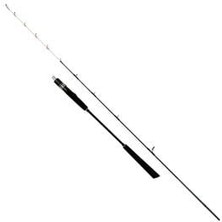 Sea Horse Star Slow Jigging 1,68 M 20-250 gr