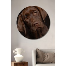 Teona Ahşap Aşk Bakan Labrador Köpek Dekoratif Ahşap Mdf Ev/işyeri Duvar Tablo Yuvarlak Ev/işyeri Duvar Tablo