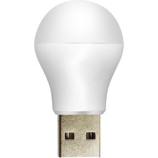 Powermaster PM-20920 5V 1A USB LED Lamba Gün Işığı