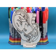 Casey 3D Store Boyanabilir Figür Seti – Eğitici 3D Sanat & Hobi Oyuncağı