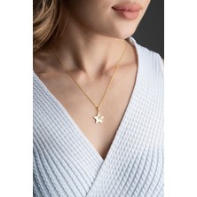 Famira 925 Ayar Gümüş Gold Zirkon Taşlı Yıldız Kolye