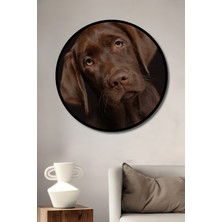 Teona Ahşap Çerçeve Görünümlü Aşk Bakan Labrador Köpek Dekoratif Ahşap Mdf Tablo Yuvarlak Tablo